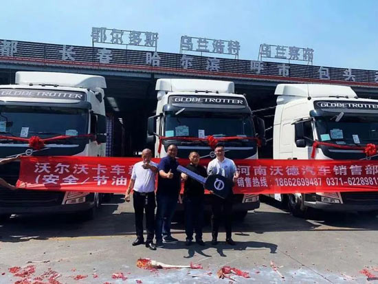 公司所有进口卡车占比超6成，河南浩运物流为何如此认可沃尔沃卡车？