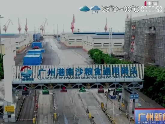 广州港：奋楫扬帆正当时