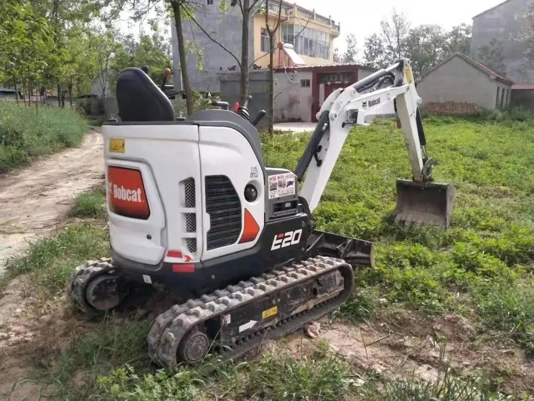 奋斗的路上有山猫陪伴，干劲十足！