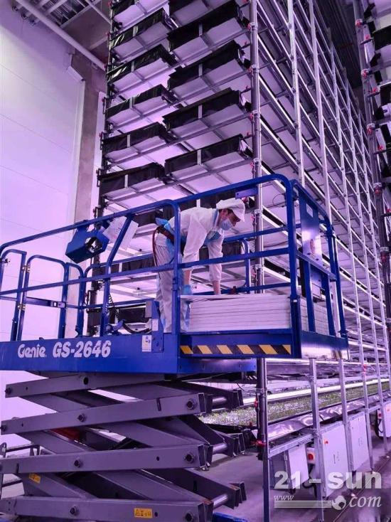 应用 | Genie剪叉式高空作业平台在<em>丹麦</em>垂直农场的应用