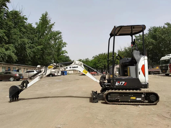 “斜杠”山猫，赚钱很容易！