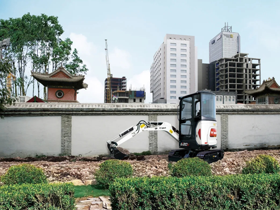 挑战自我，山猫的强者之路