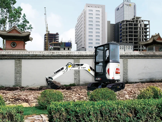 全能帮手 | 家有山猫，如获一宝！