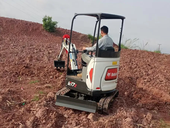 山猫@国庆回家的你，农活干完了吗？