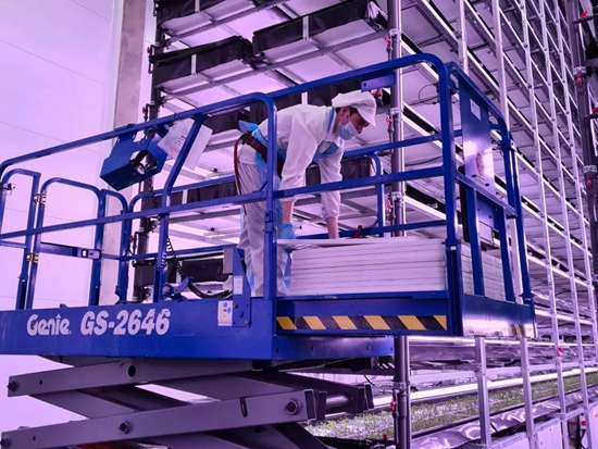 吉尼带您看世界｜一起来探访欧洲最大的垂直农场