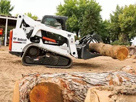 哥俩好 | 山猫两兄弟，赚钱好机会