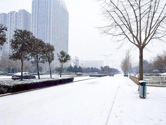 盈峰环境：智能环卫机器人，为你扫净“最后一公里”的雪