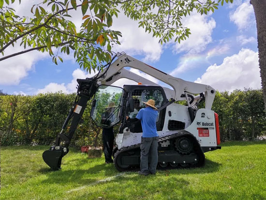 美图欣赏 | 山猫的颜值实力秀！