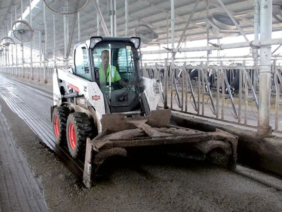 山猫到底有何魅力，为何牧场都在用它？