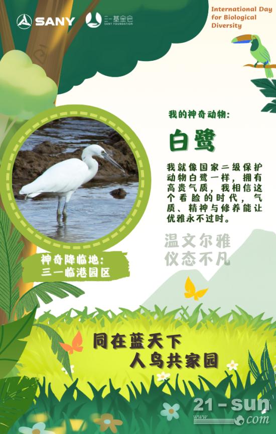 三一版<em>神奇动物</em>在哪里？在这里！