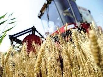 上柴动力 | “三夏双抢”时节，农机动力使用、维保秘籍奉上！