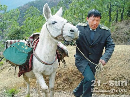 让世界没有难走的路——道阻且长，行则将至
