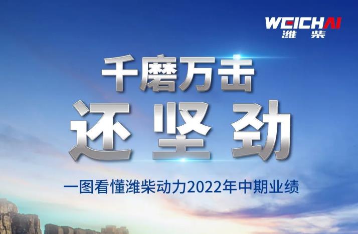 划重点！一图看懂潍柴动力2022年中期业绩