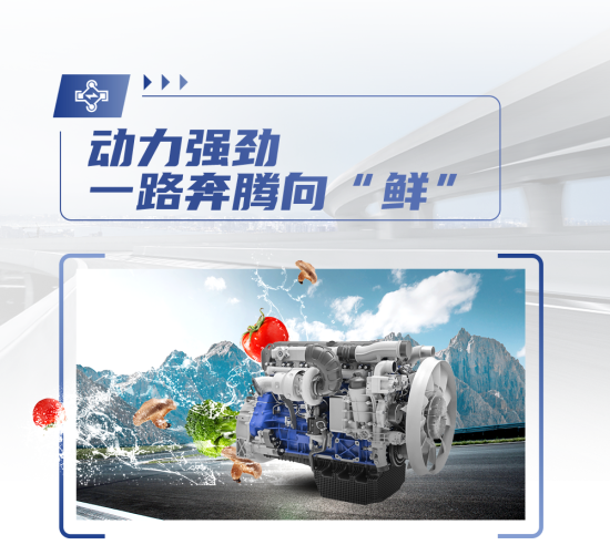 潍柴WP14T，物流创富好帮手！