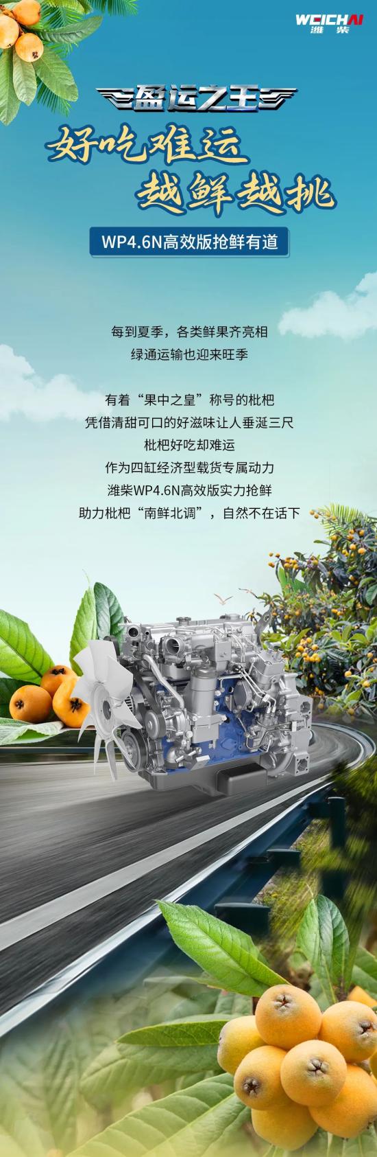 盈运之王丨好吃难运 越鲜越挑，潍柴WP4.6N高效版抢鲜有道