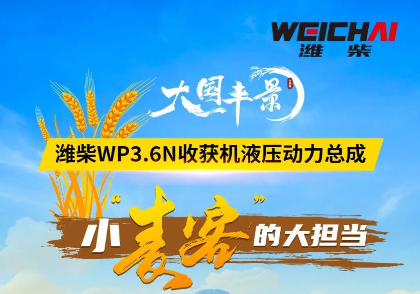 大国丰景 | 潍柴WP3.6N<em>收获机</em>液压动力总成，小“麦客”的大担当