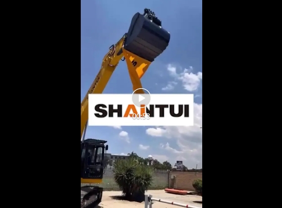 暖意相聚，共鉴实力！山推南非客户家庭开放日圆满落幕